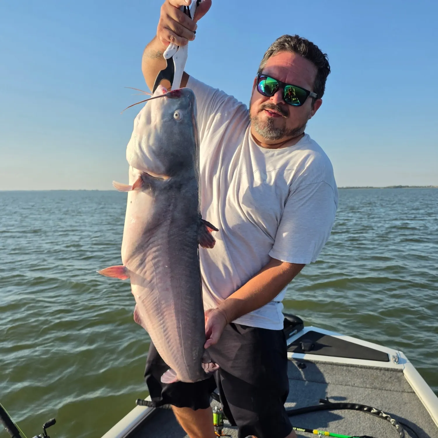 Blue catfish caught on Fishbrain