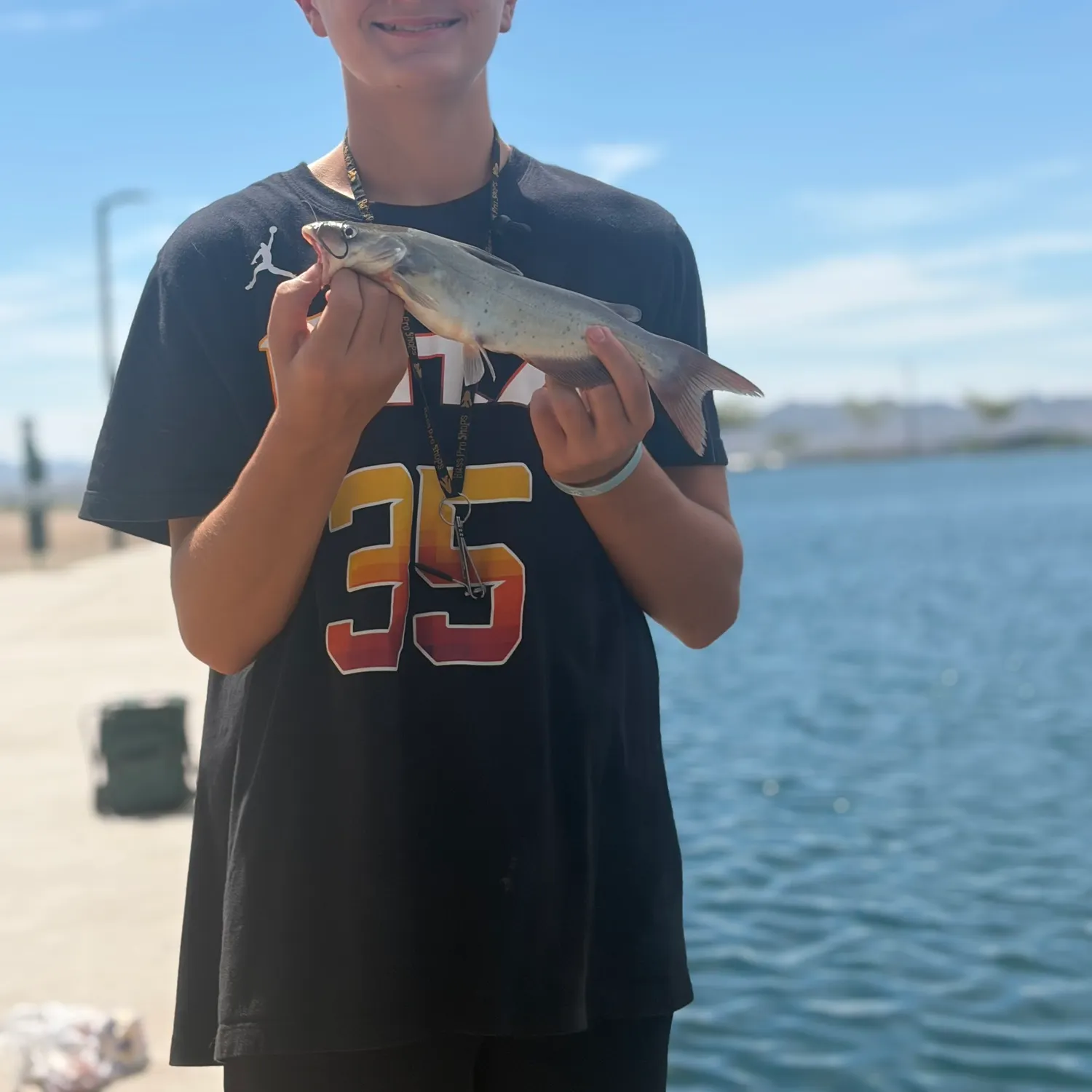 Channel catfish caught on Fishbrain