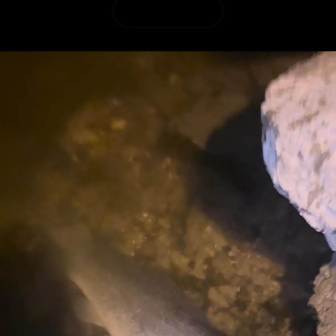 The most recent Eyetail bowfin catches on Fishbrain