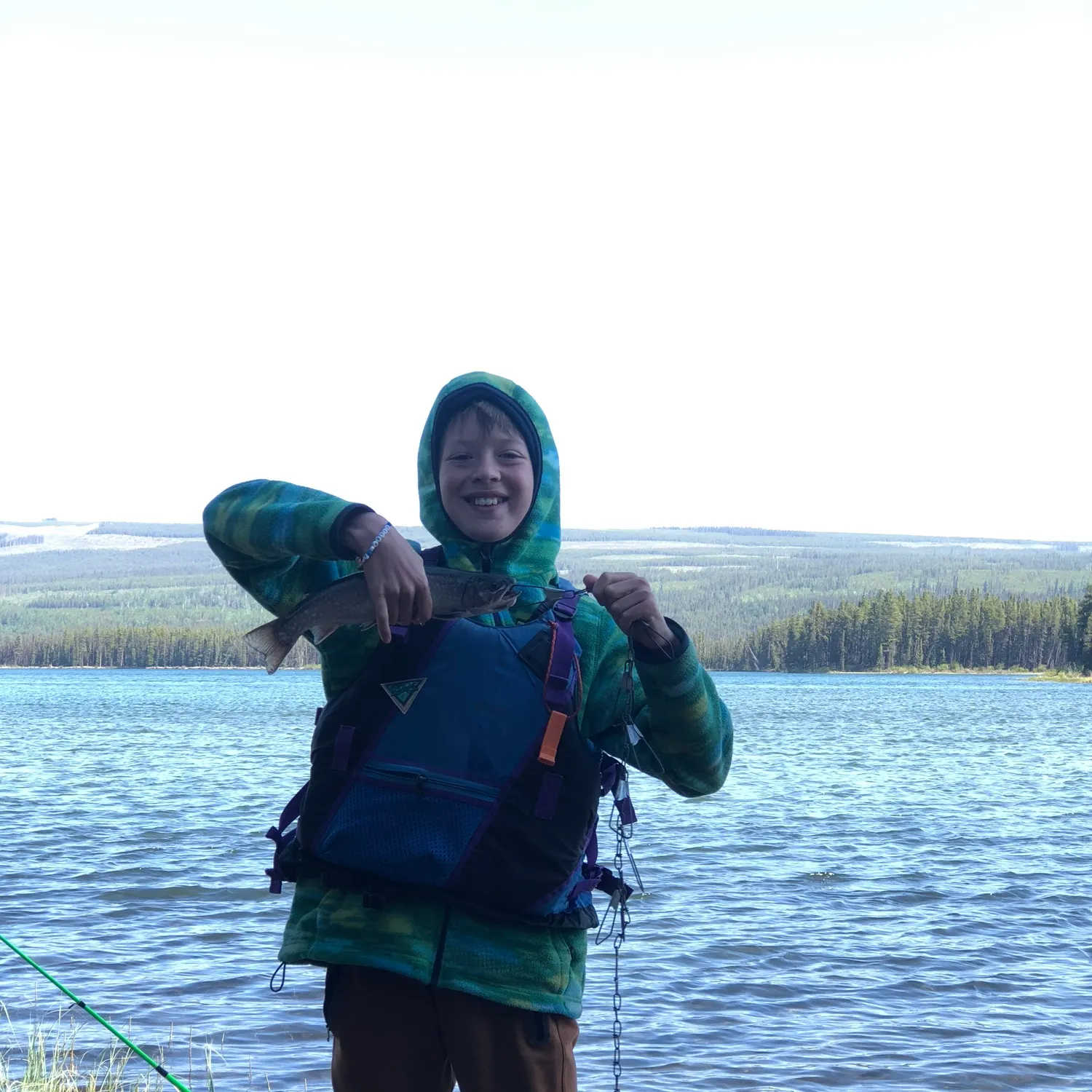 Brook trout caught on Fishbrain