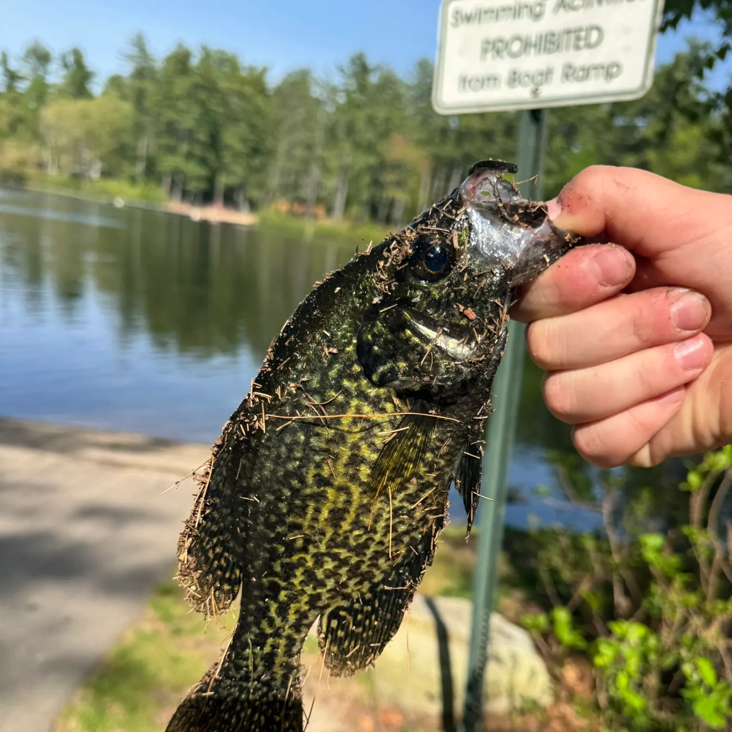 catch
