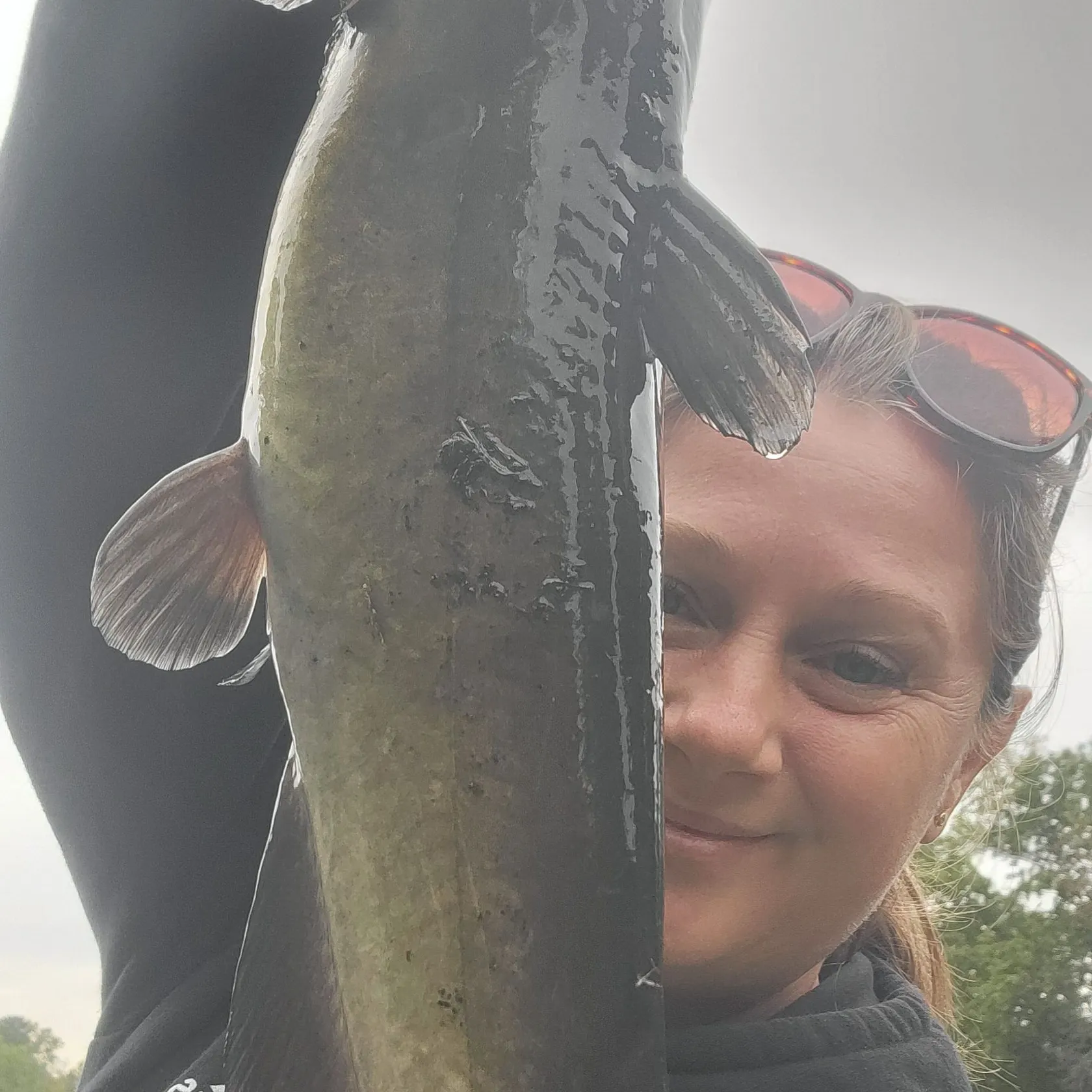 Channel catfish caught on Fishbrain