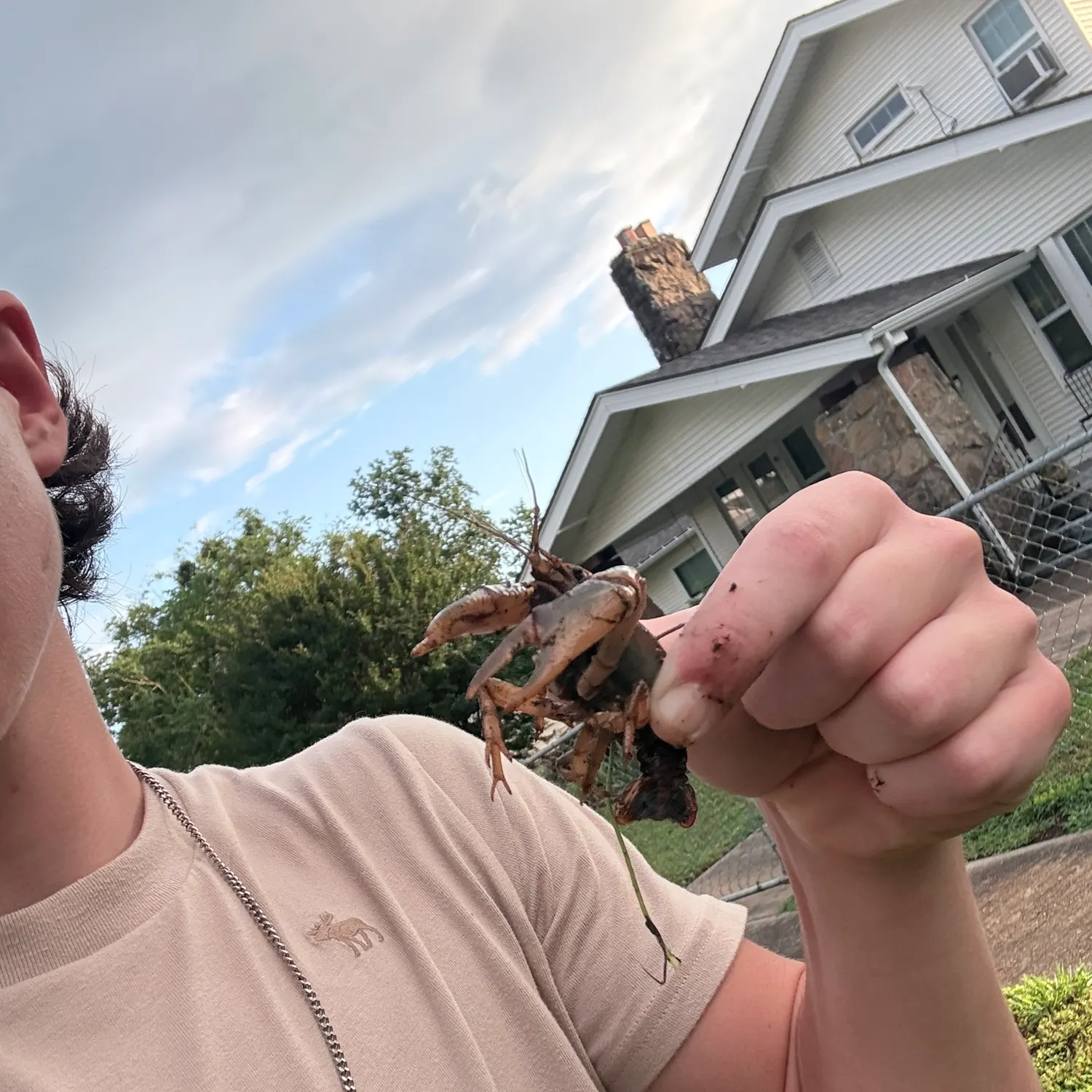 The most recent Signal crayfish catches on Fishbrain