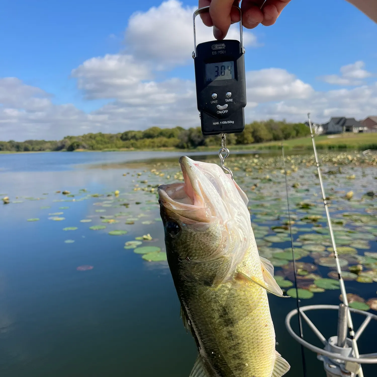 Largemouth bass caught on Fishbrain
