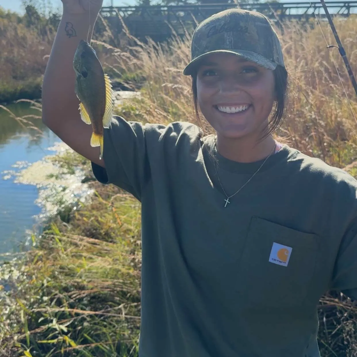 Bluegill caught on Fishbrain