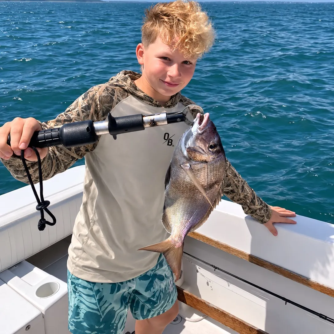 Scup caught on Fishbrain