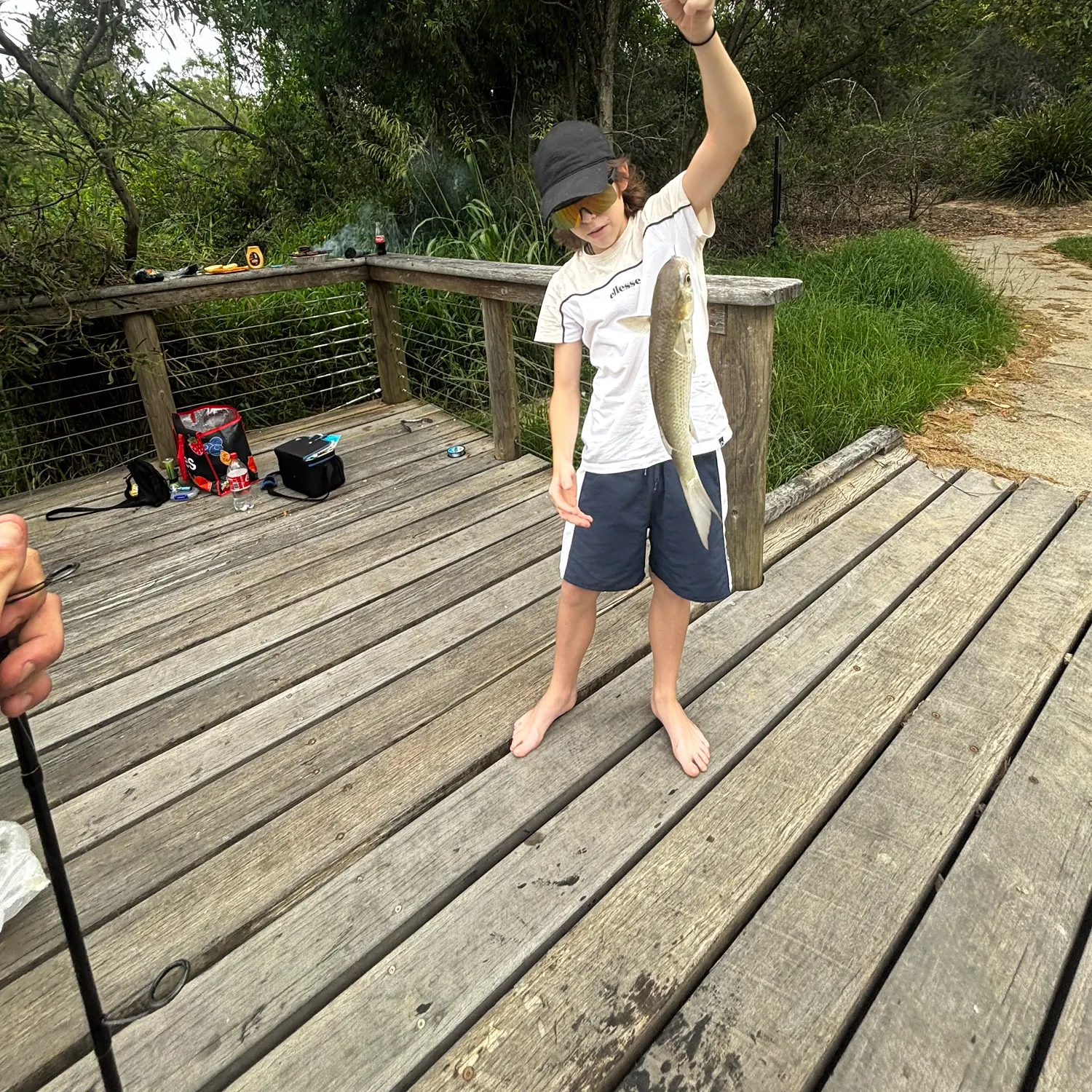 The most recent Striped mullet catches on Fishbrain