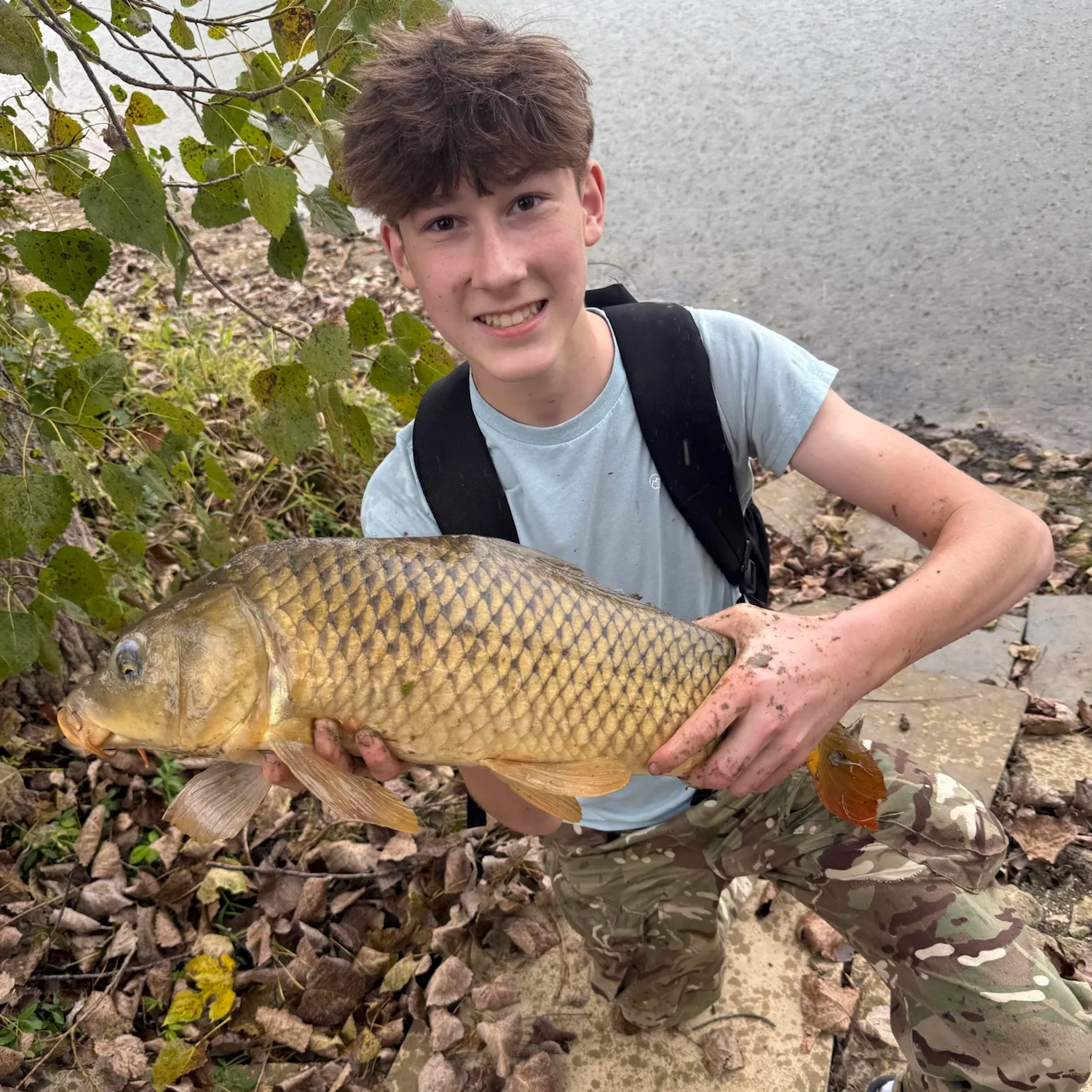 Common carp caught on Fishbrain
