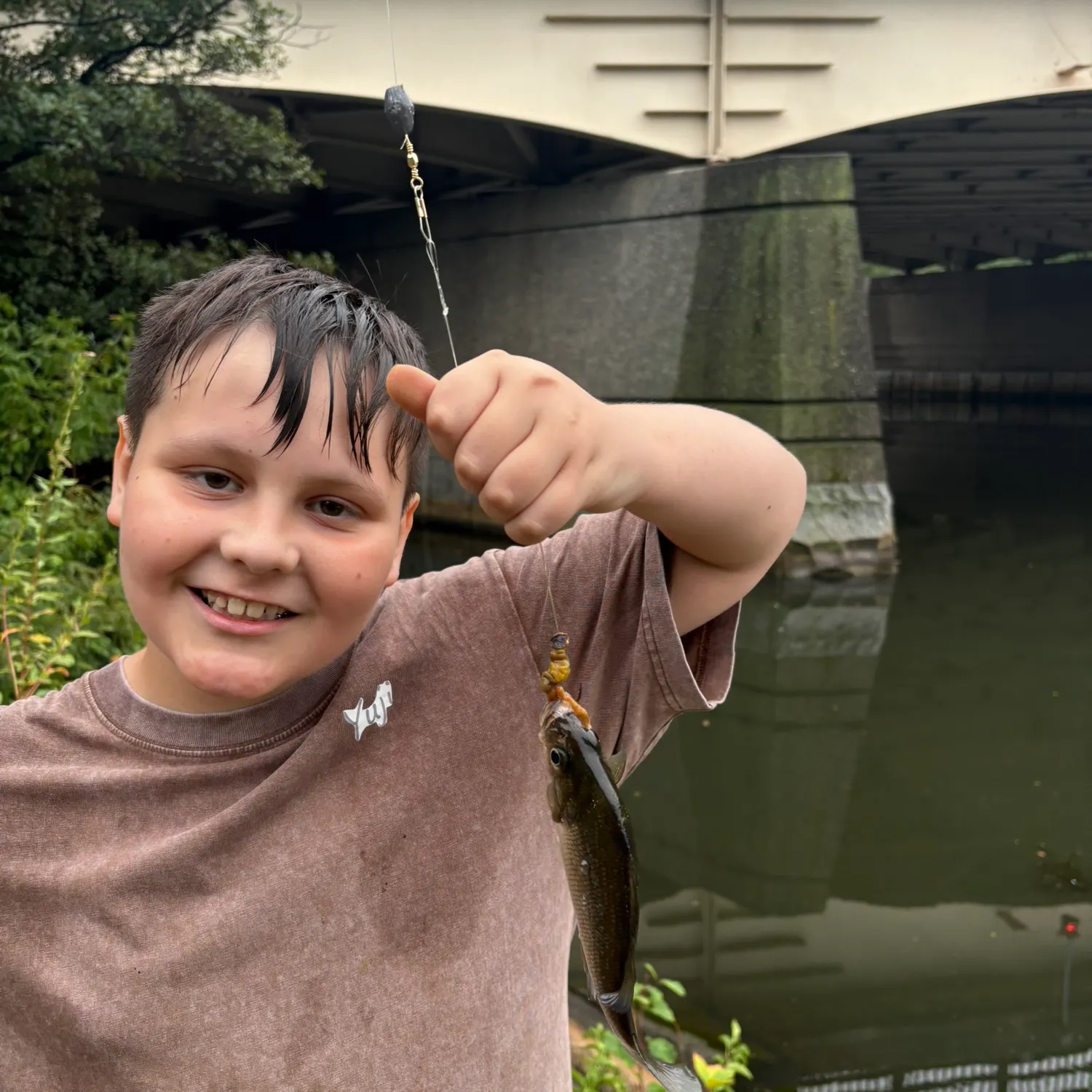 White perch caught on Fishbrain