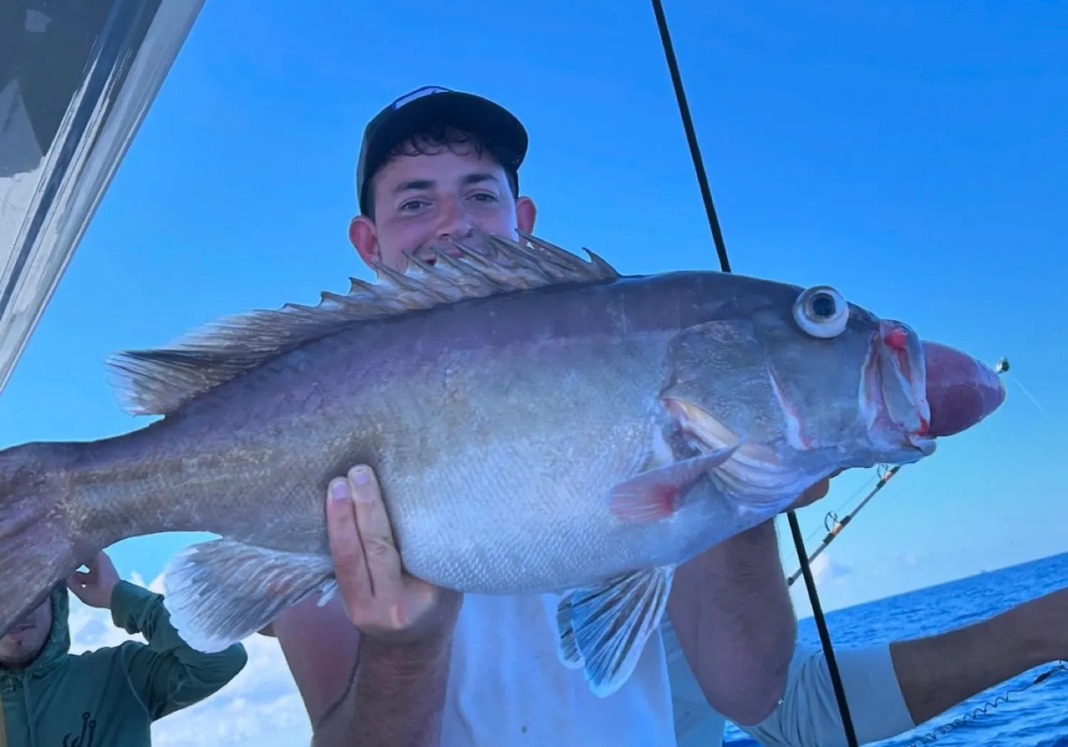 Snowy grouper