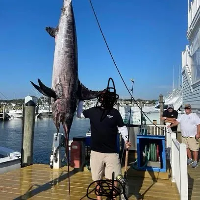 The most recent Striped marlin catches on Fishbrain