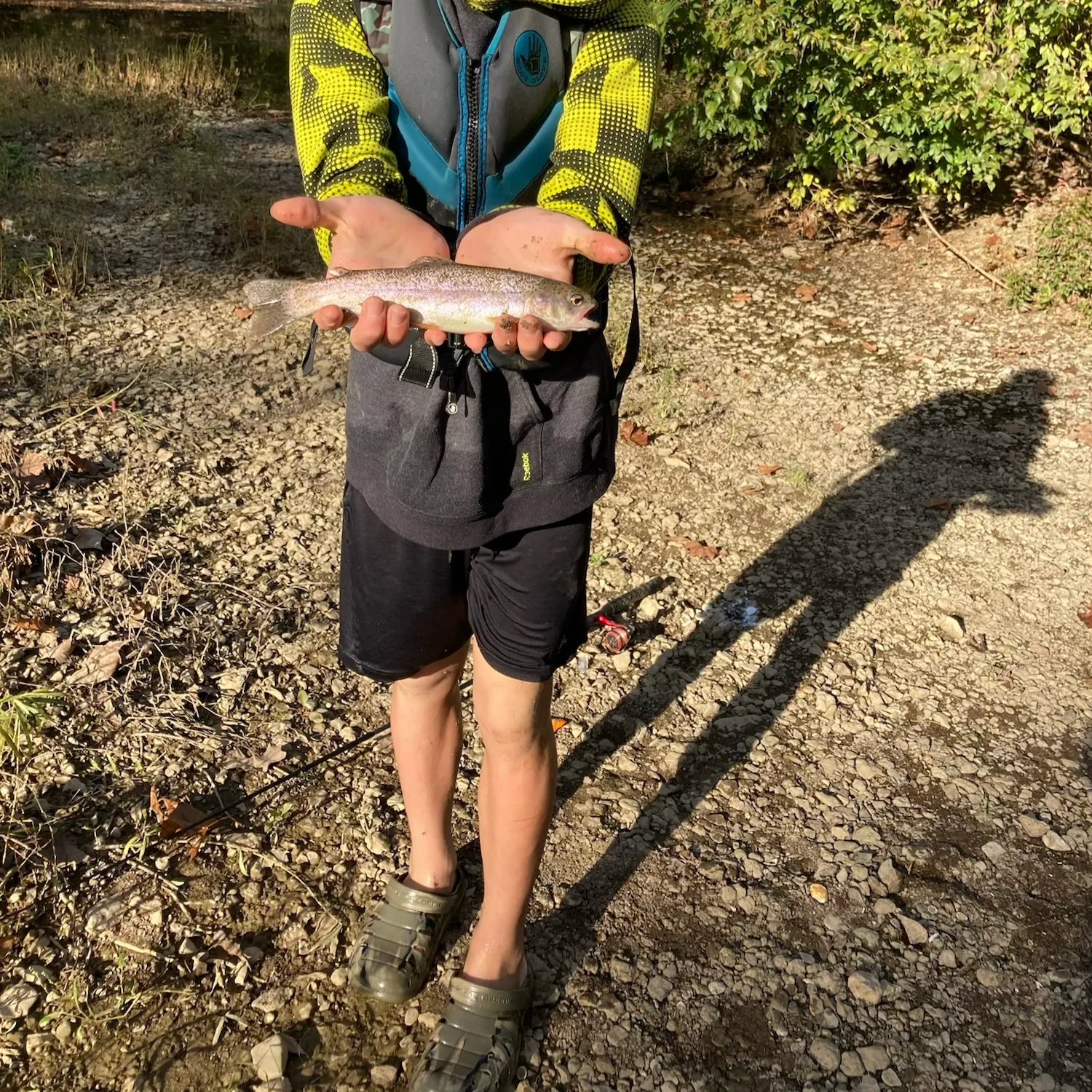 Rainbow trout caught on Fishbrain