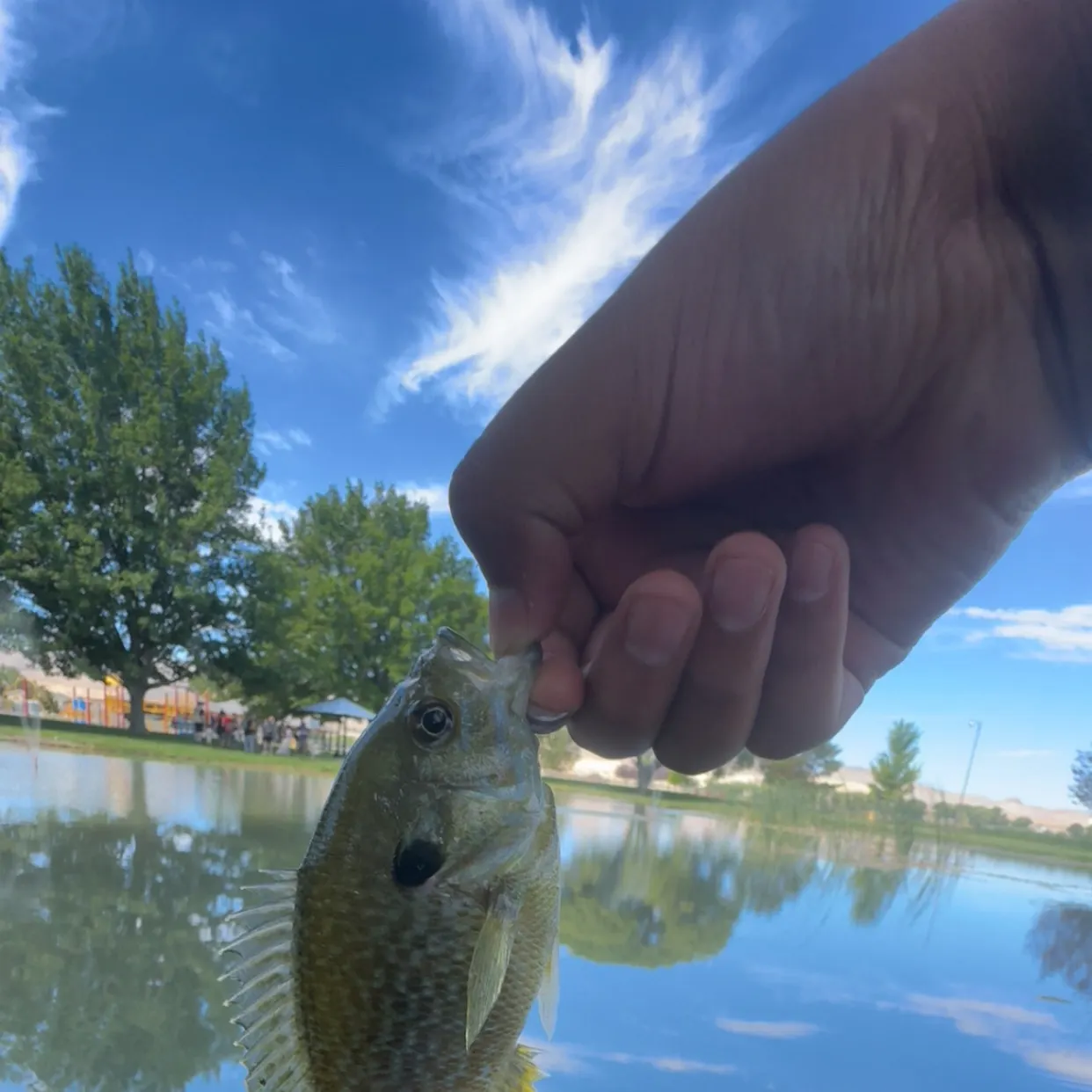 catch