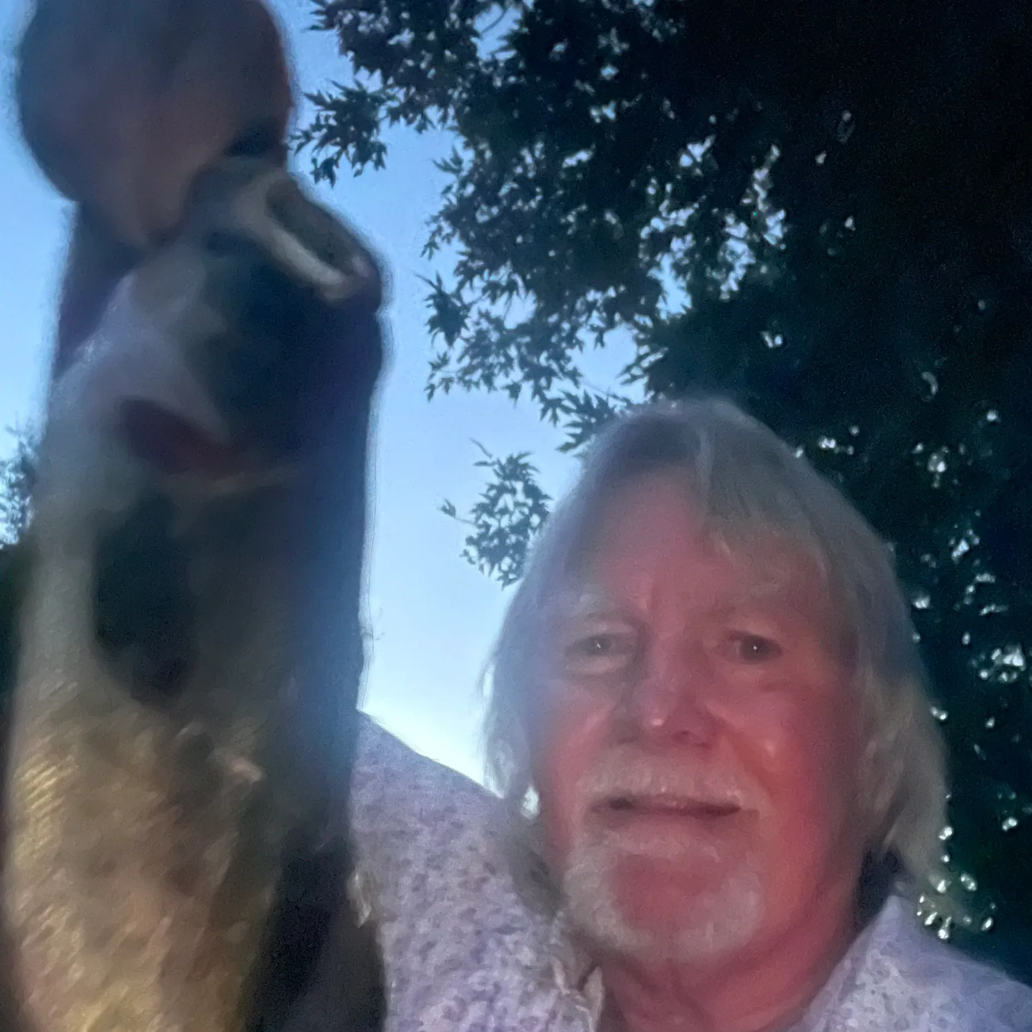 Fish caught on Fishbrain
