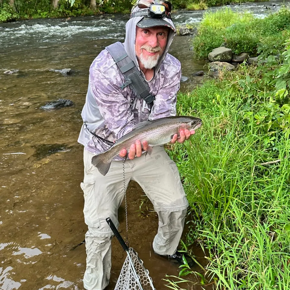 Rainbow trout caught on Fishbrain