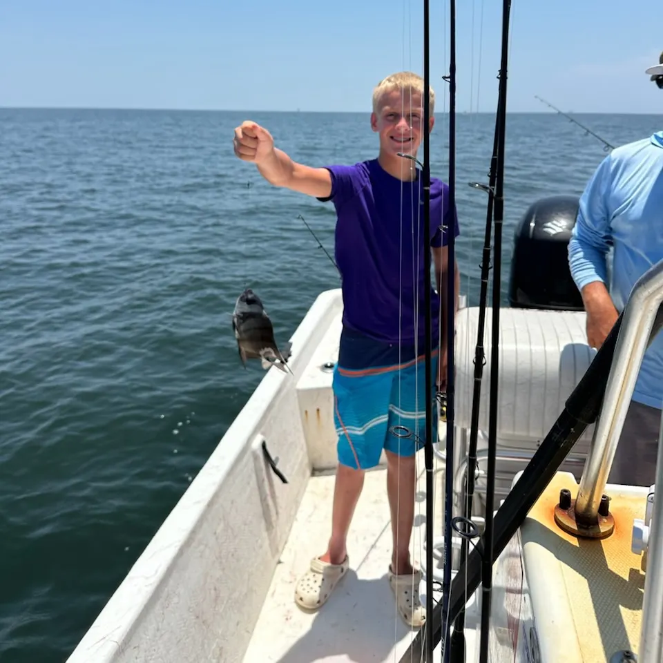 The most recent Pacific spadefish catches on Fishbrain