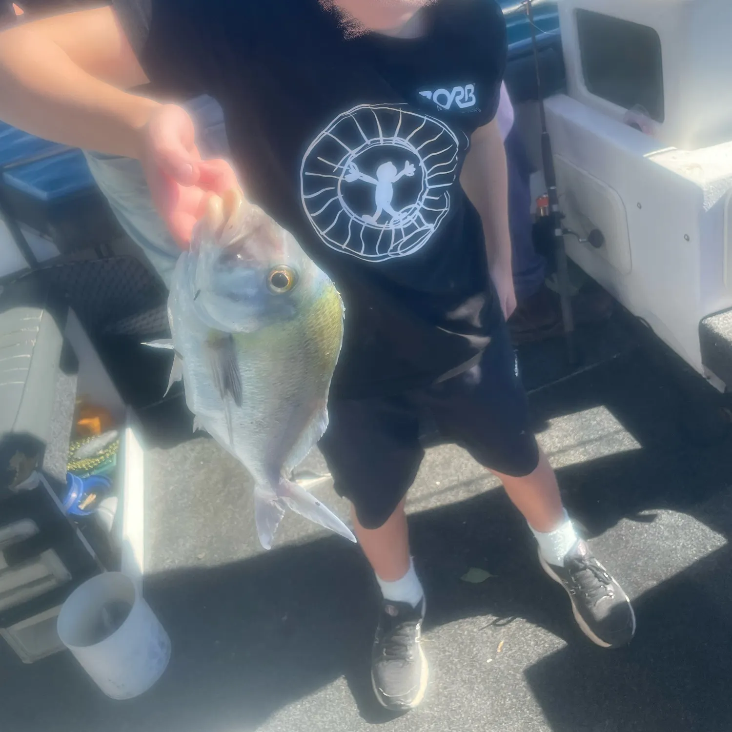 The most recent Mourning tetra catches on Fishbrain