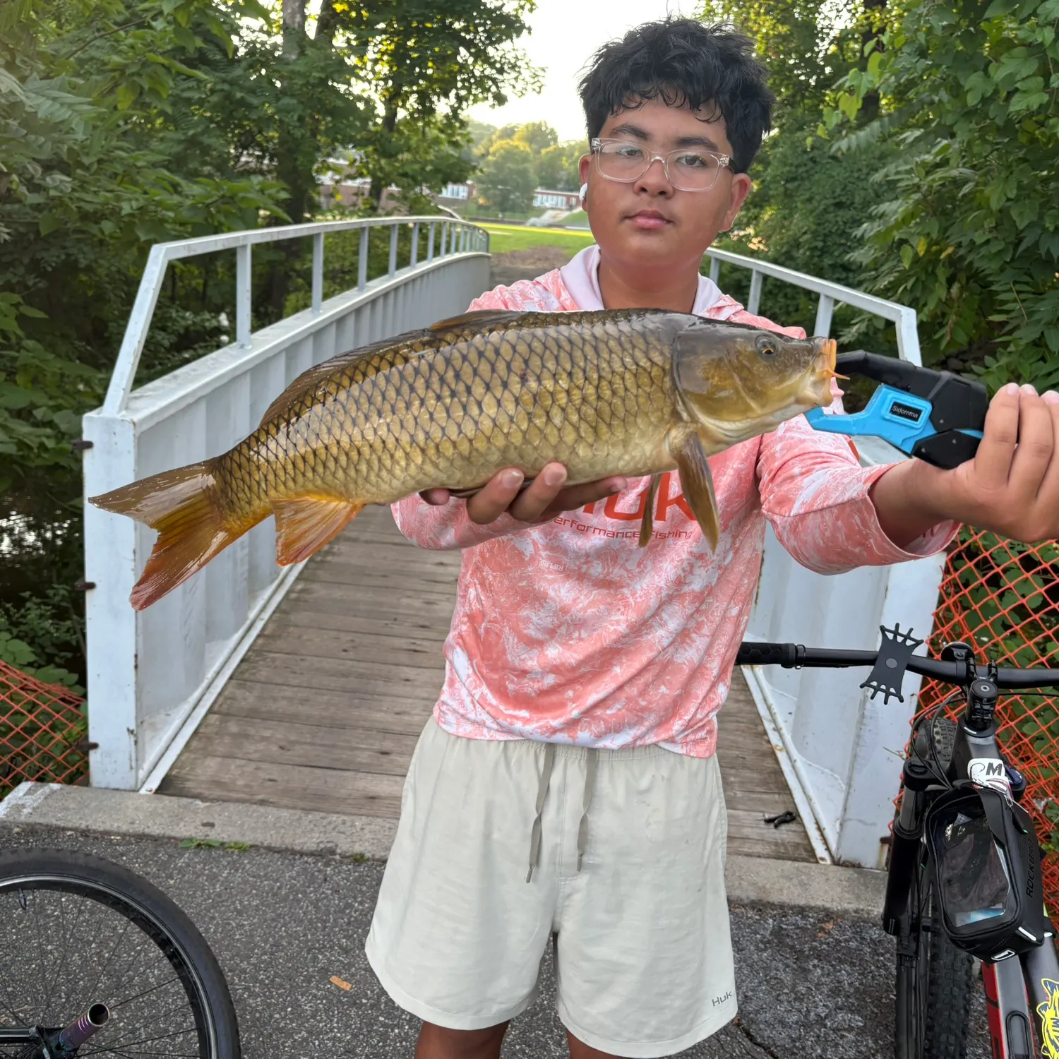 Common carp caught on Fishbrain