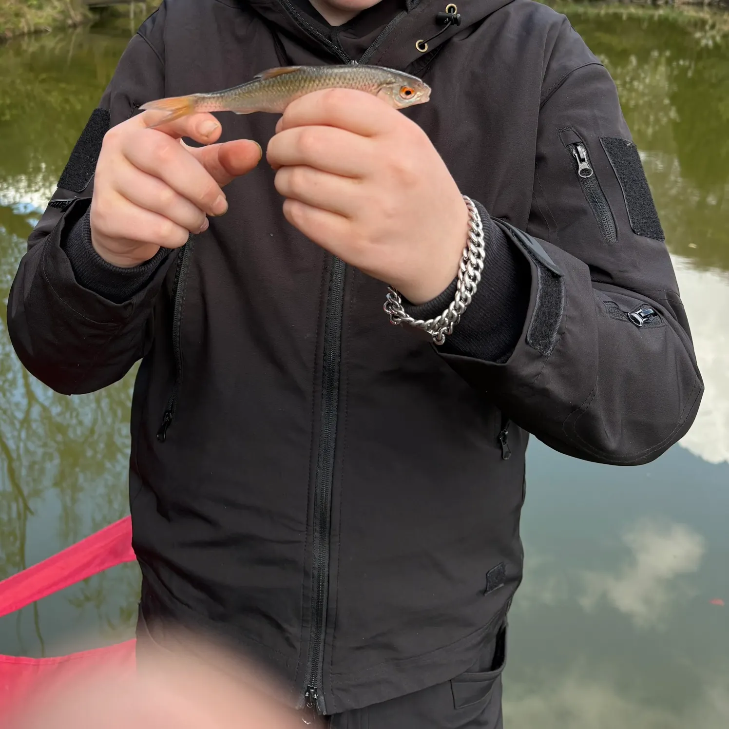 The most recent Common roach catches on Fishbrain