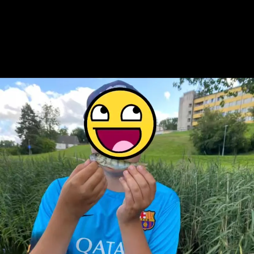 European perch caught on Fishbrain