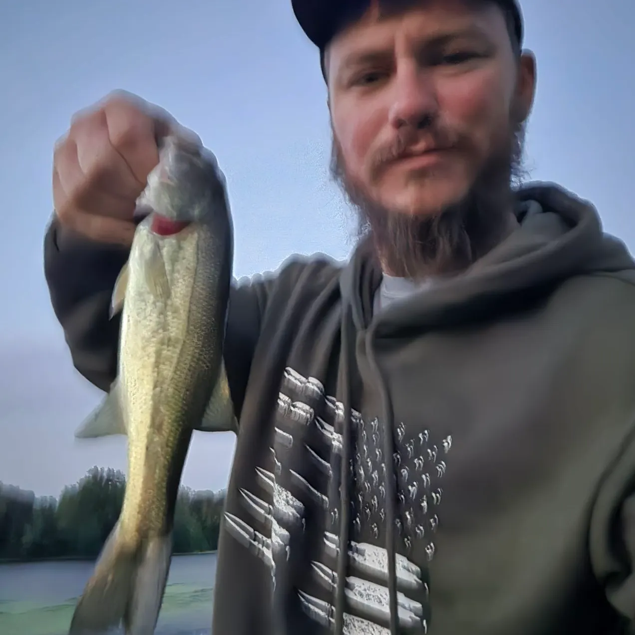 Largemouth bass caught on Fishbrain
