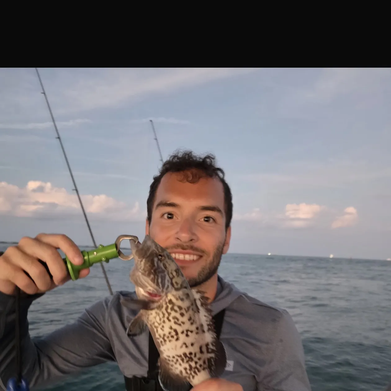 The most recent Gag grouper catches on Fishbrain