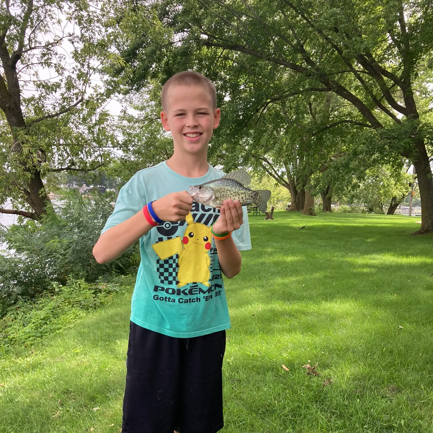 Black crappie caught on Fishbrain