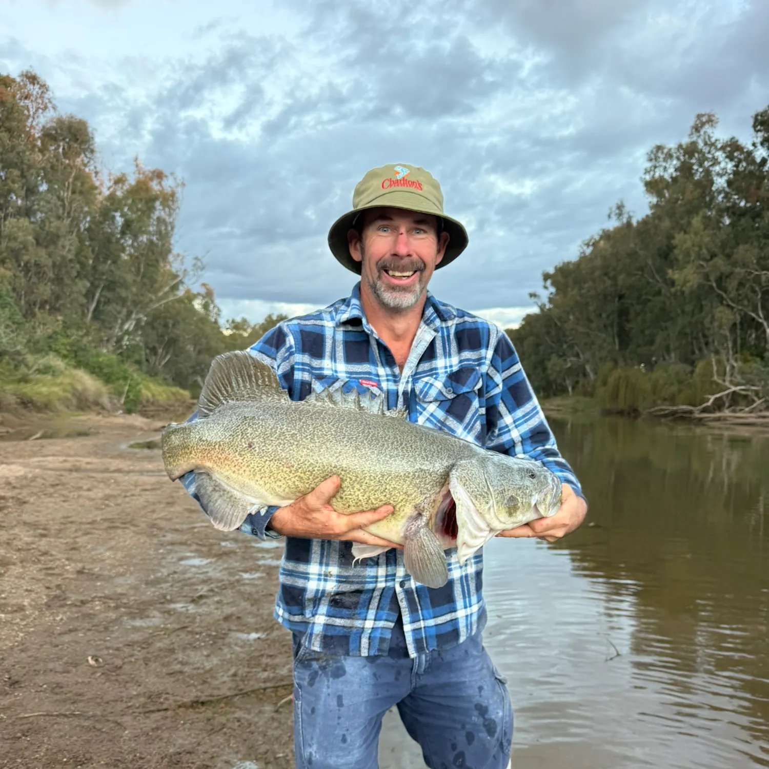 The most recent Murray cod catches on Fishbrain
