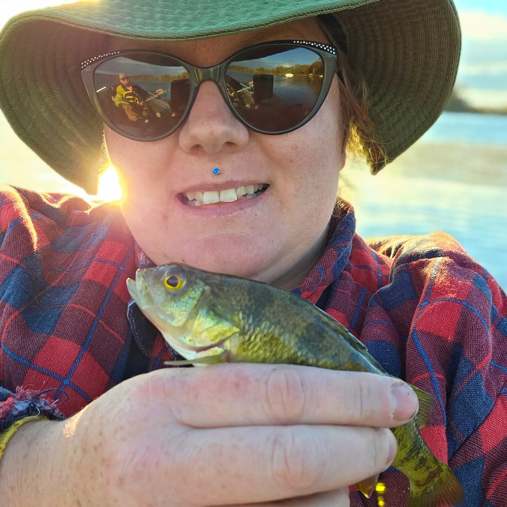 Yellow perch caught on Fishbrain