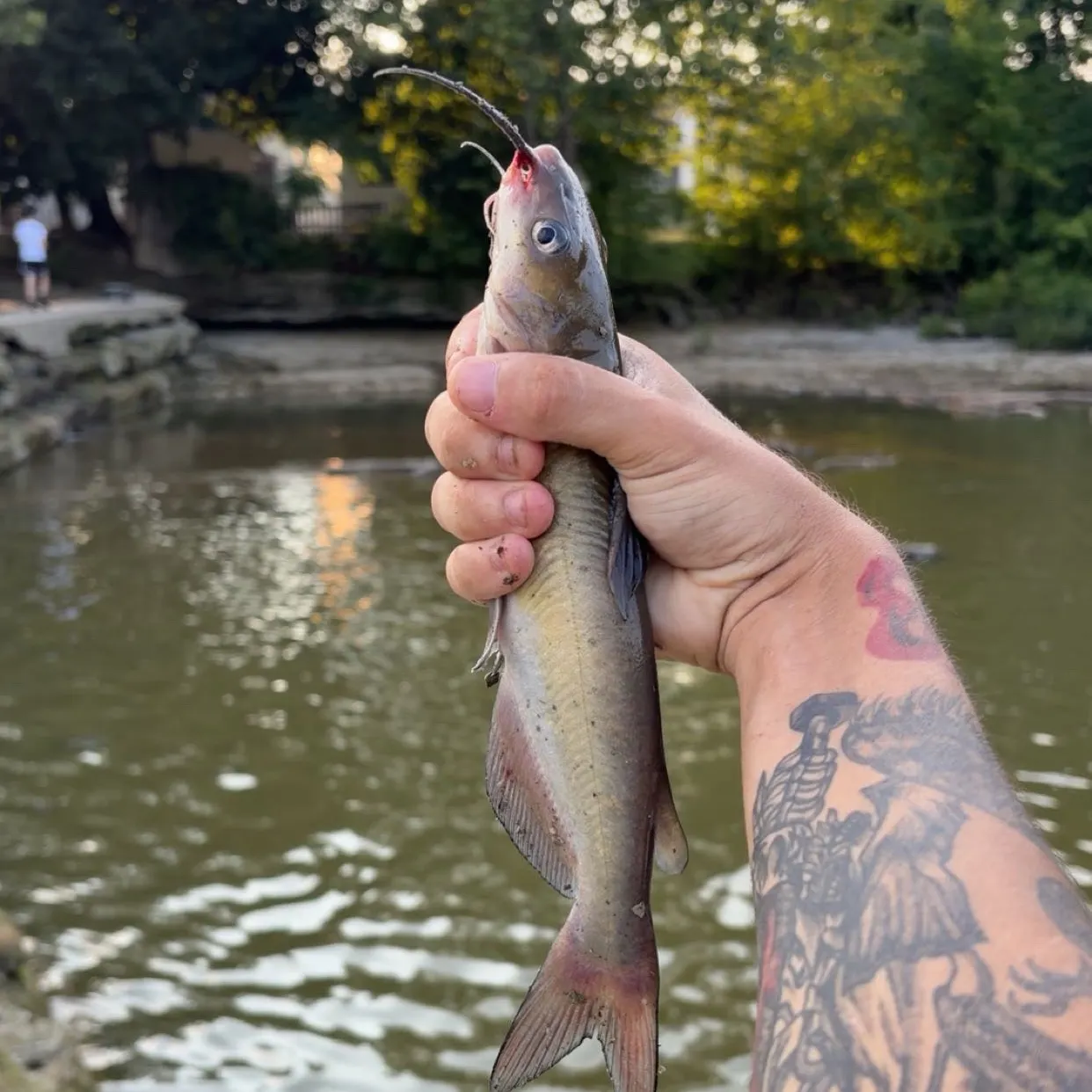 catch