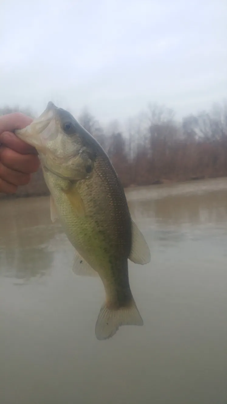 Post image from RiverRecon