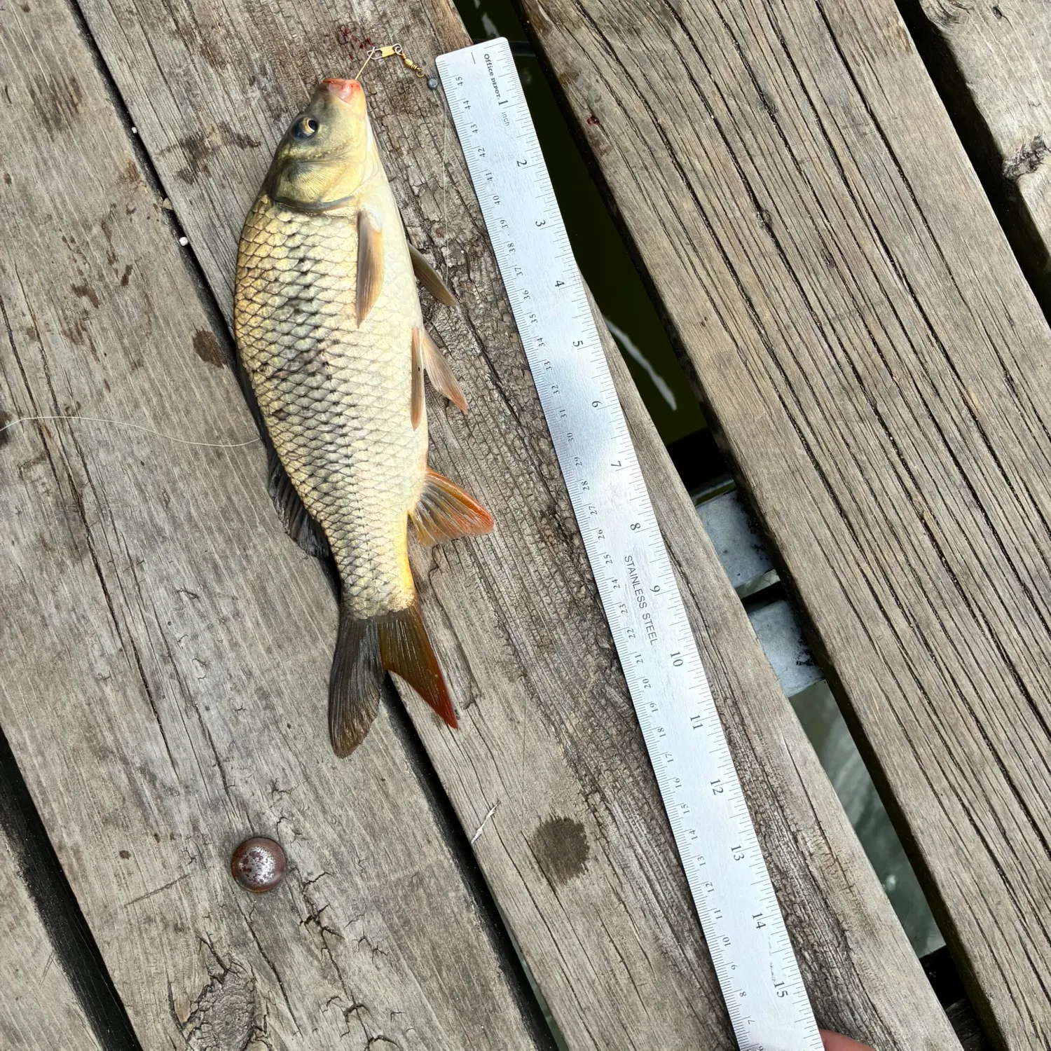 catch