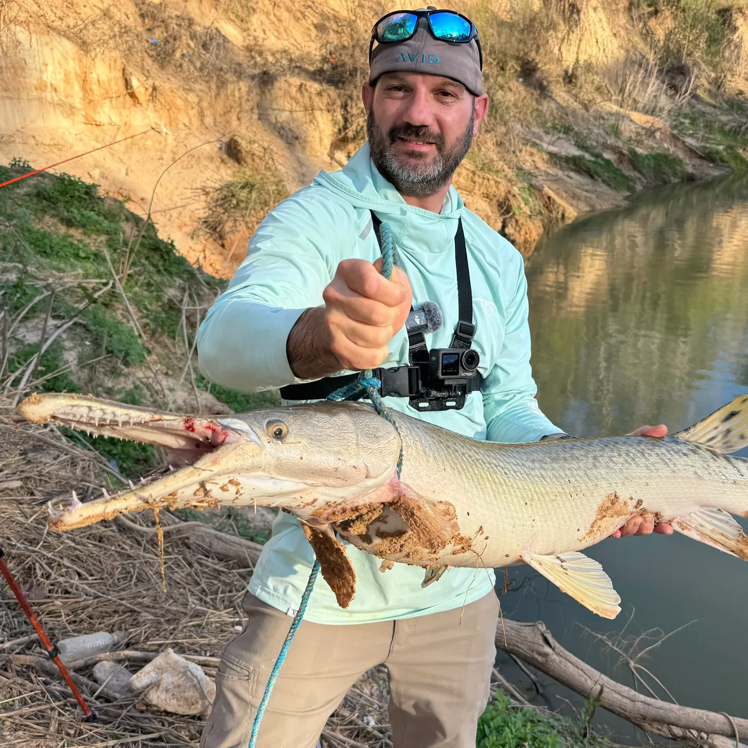 The most recent Alligator gar catches on Fishbrain