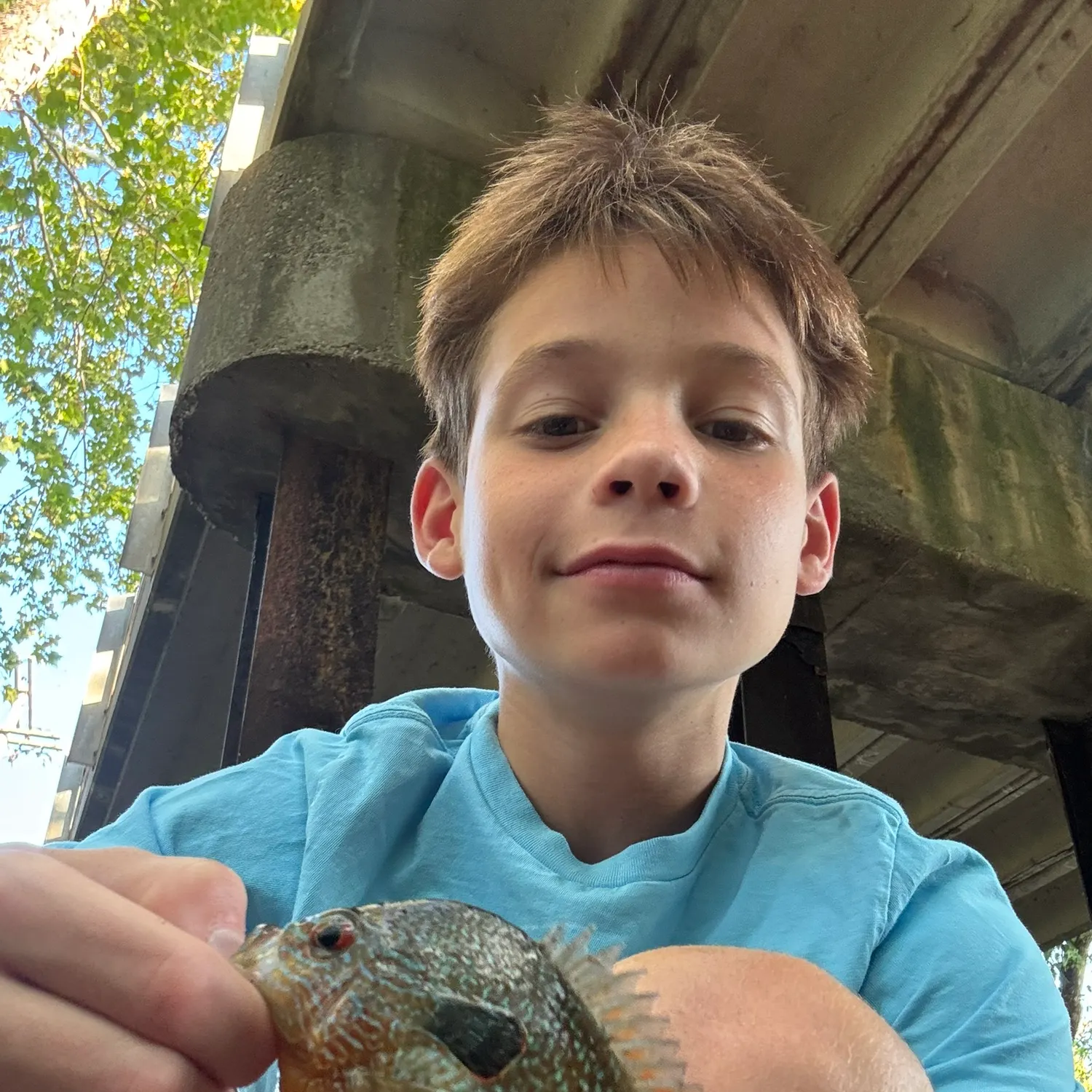 The most recent Longear sunfish catches on Fishbrain