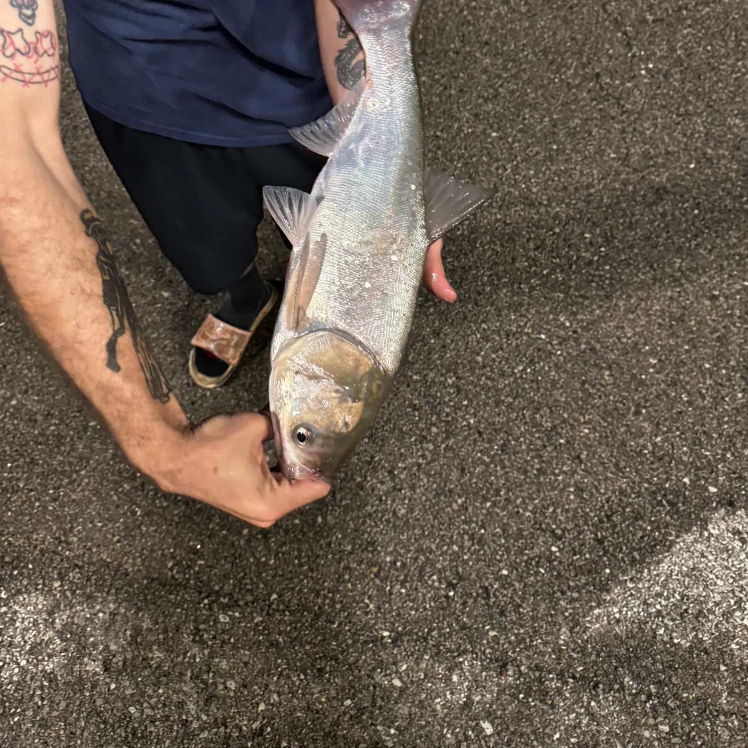 catch