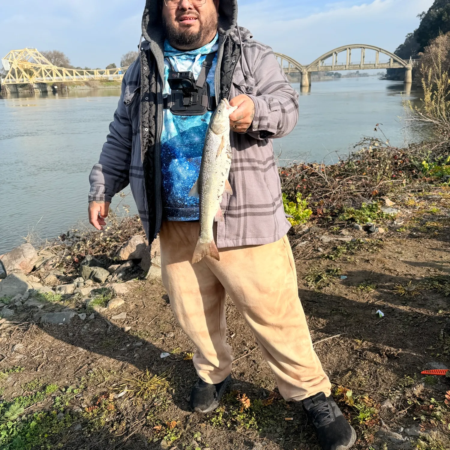 The most recent Sacramento pikeminnow catches on Fishbrain