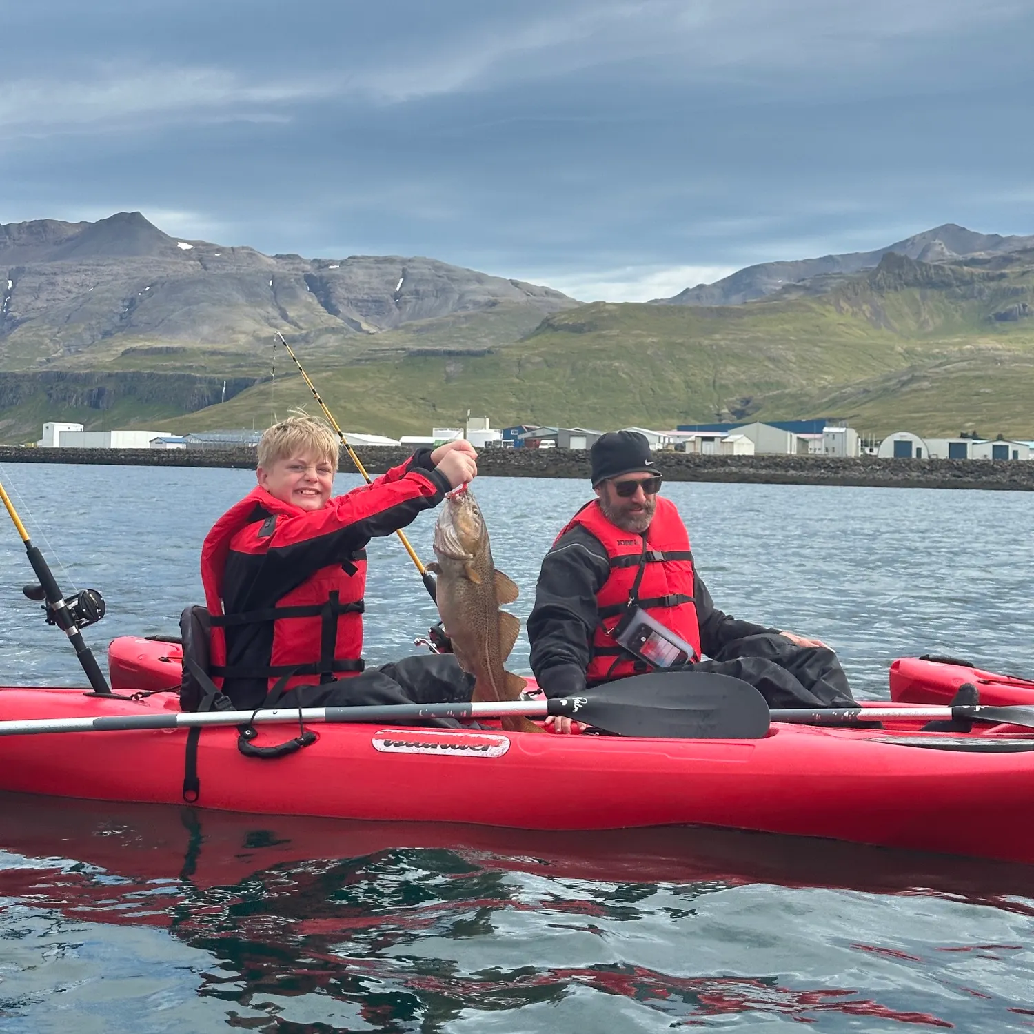 Atlantic cod caught on Fishbrain