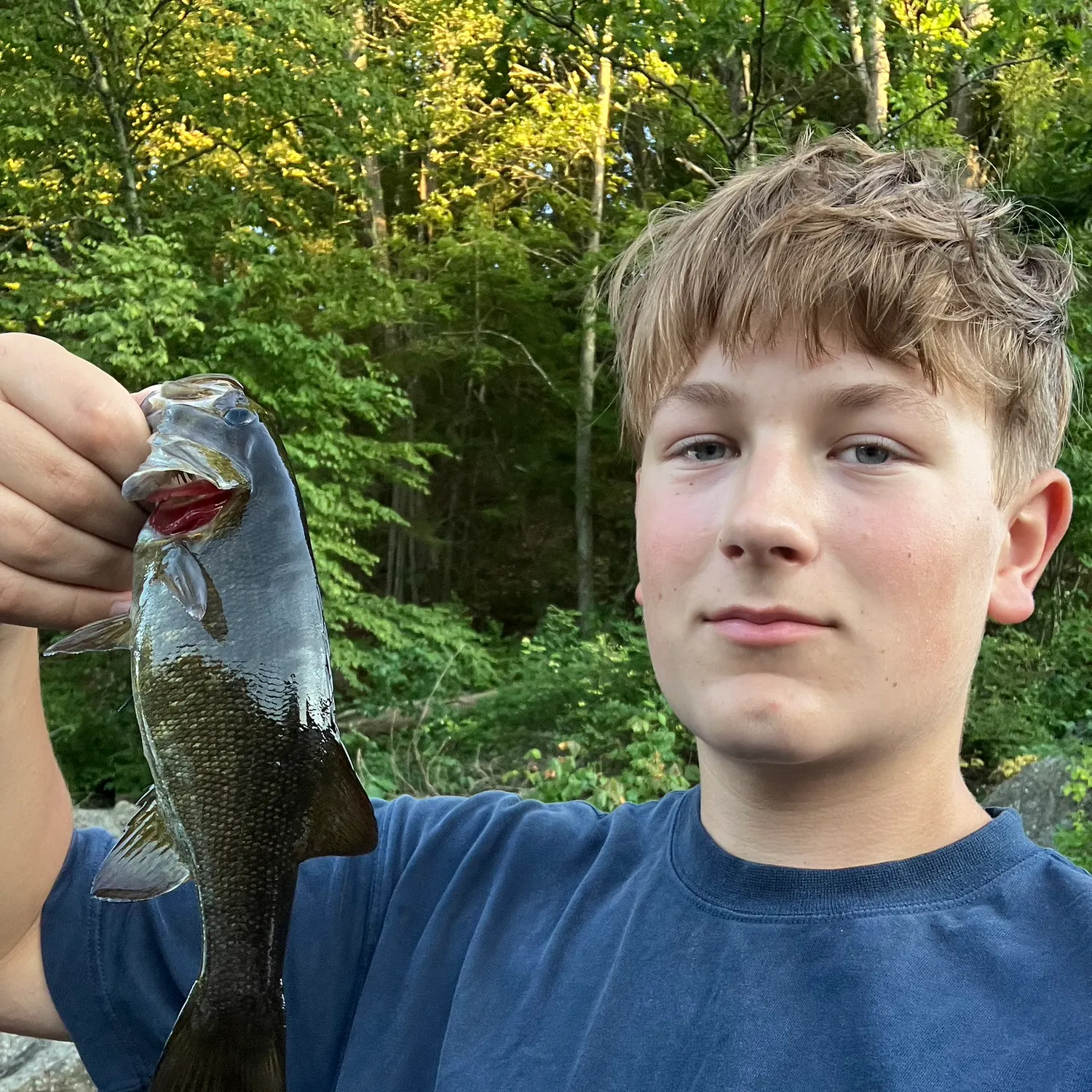 Smallmouth bass caught on Fishbrain