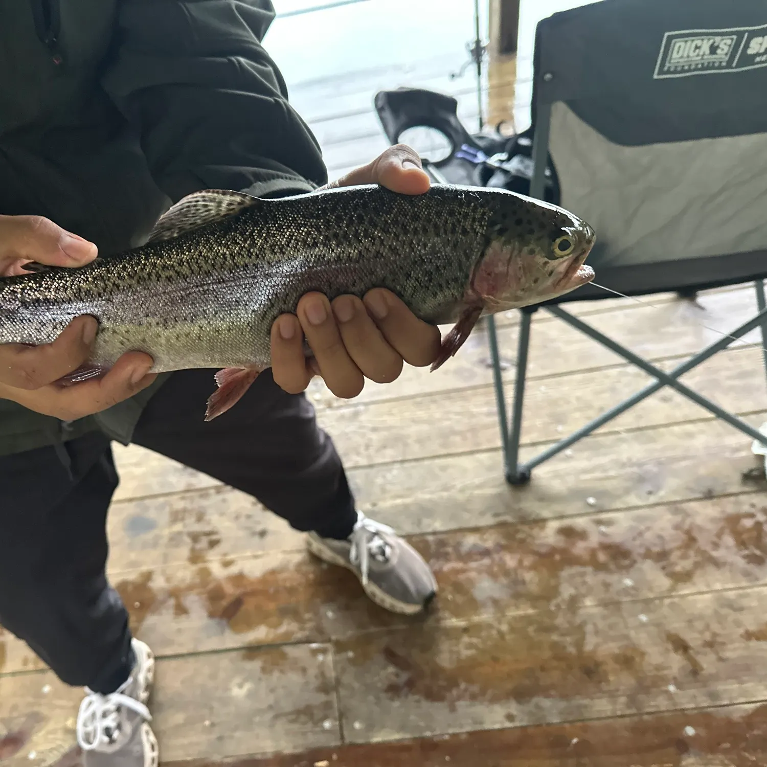 Rainbow trout caught on Fishbrain
