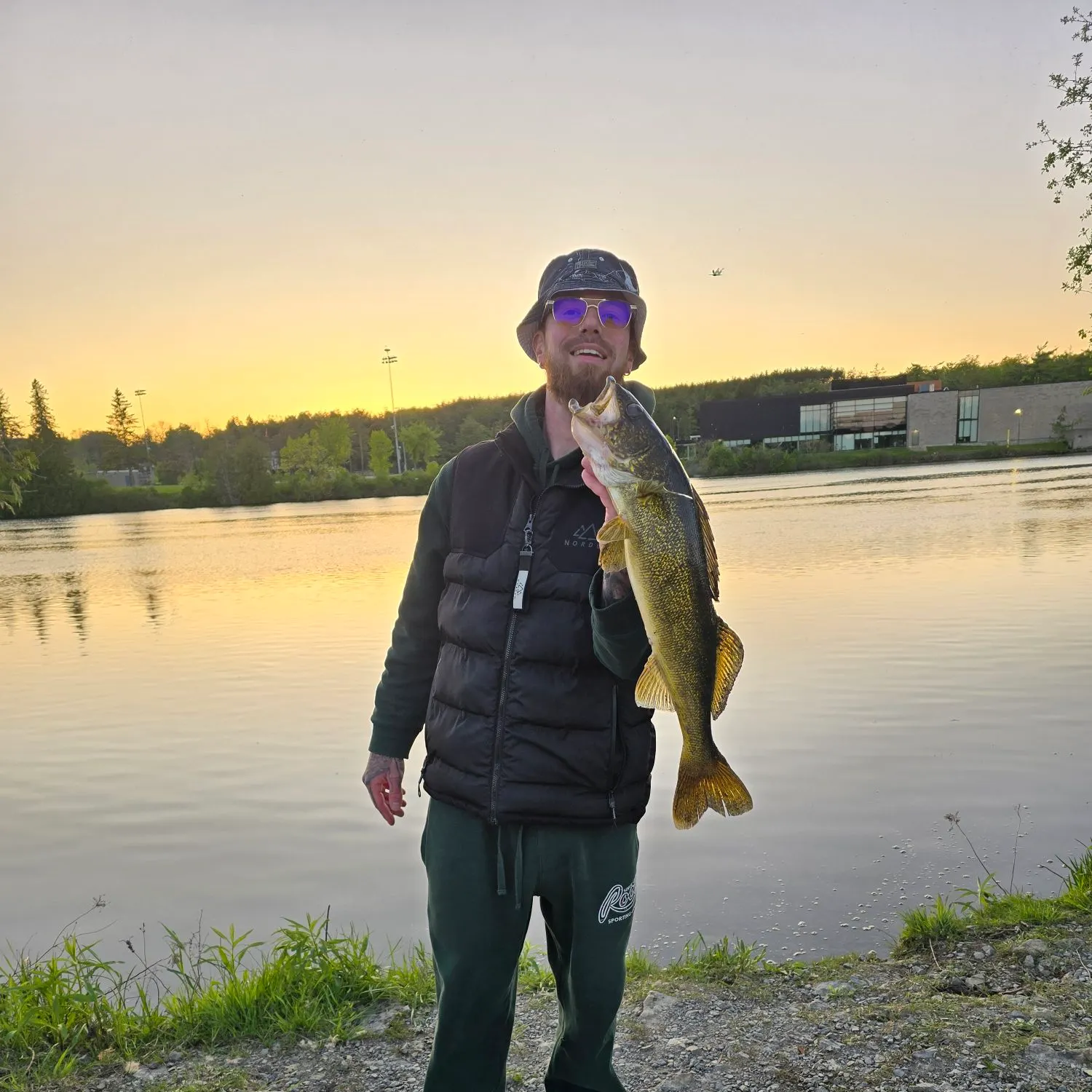 Walleye caught on Fishbrain