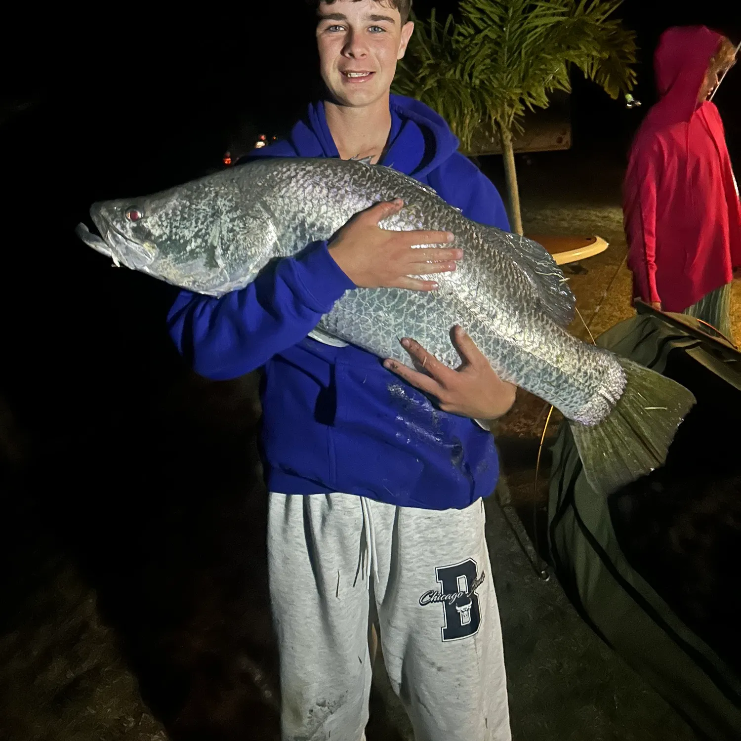The most recent Barramundi catches on Fishbrain