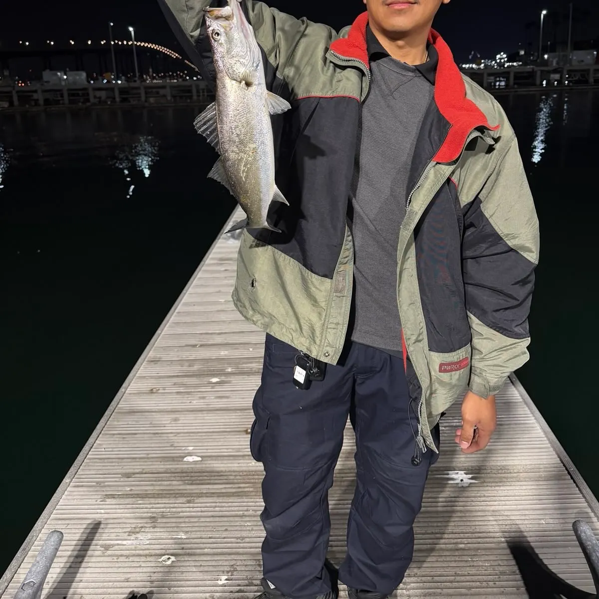 The most recent California corbina catches on Fishbrain
