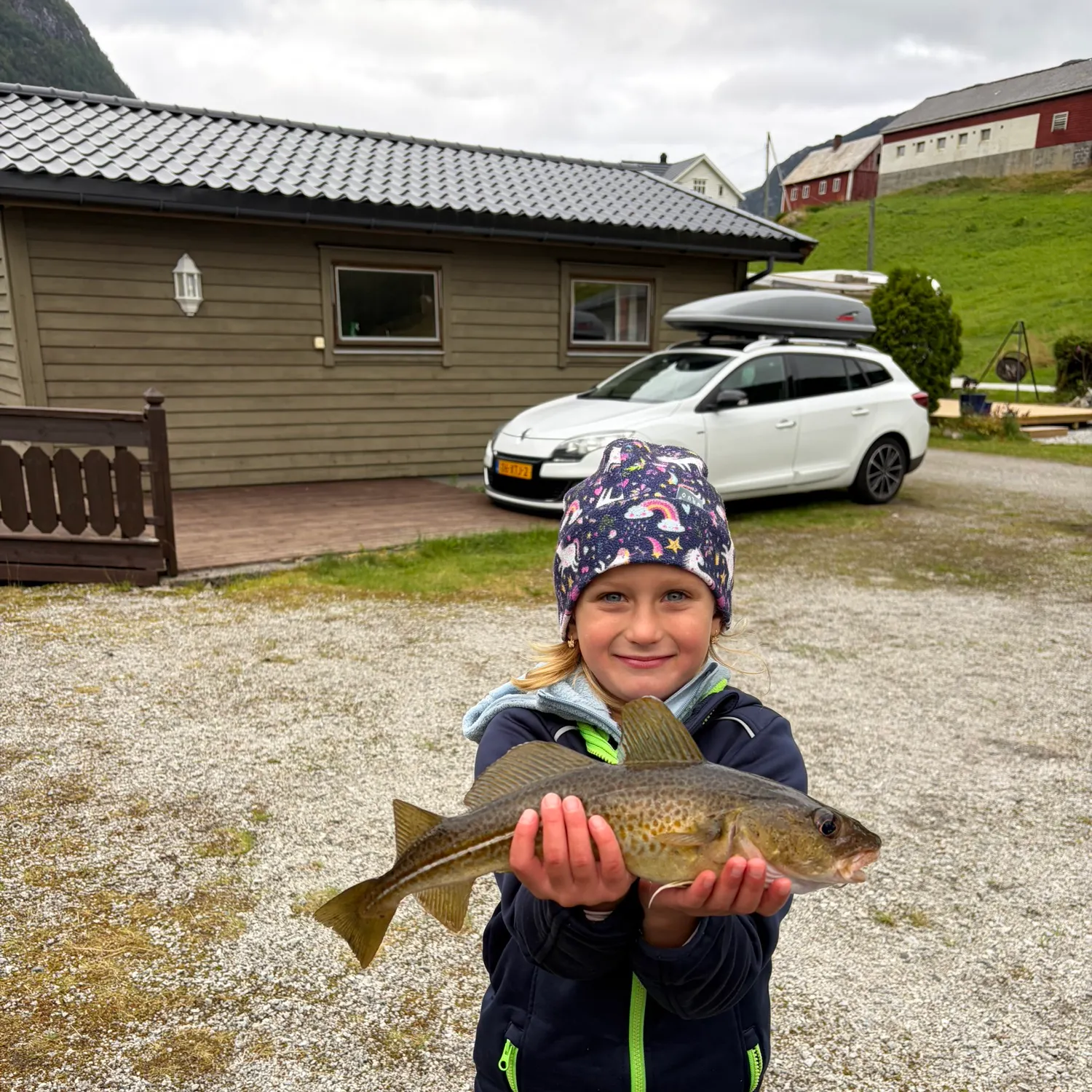 Atlantic cod caught on Fishbrain