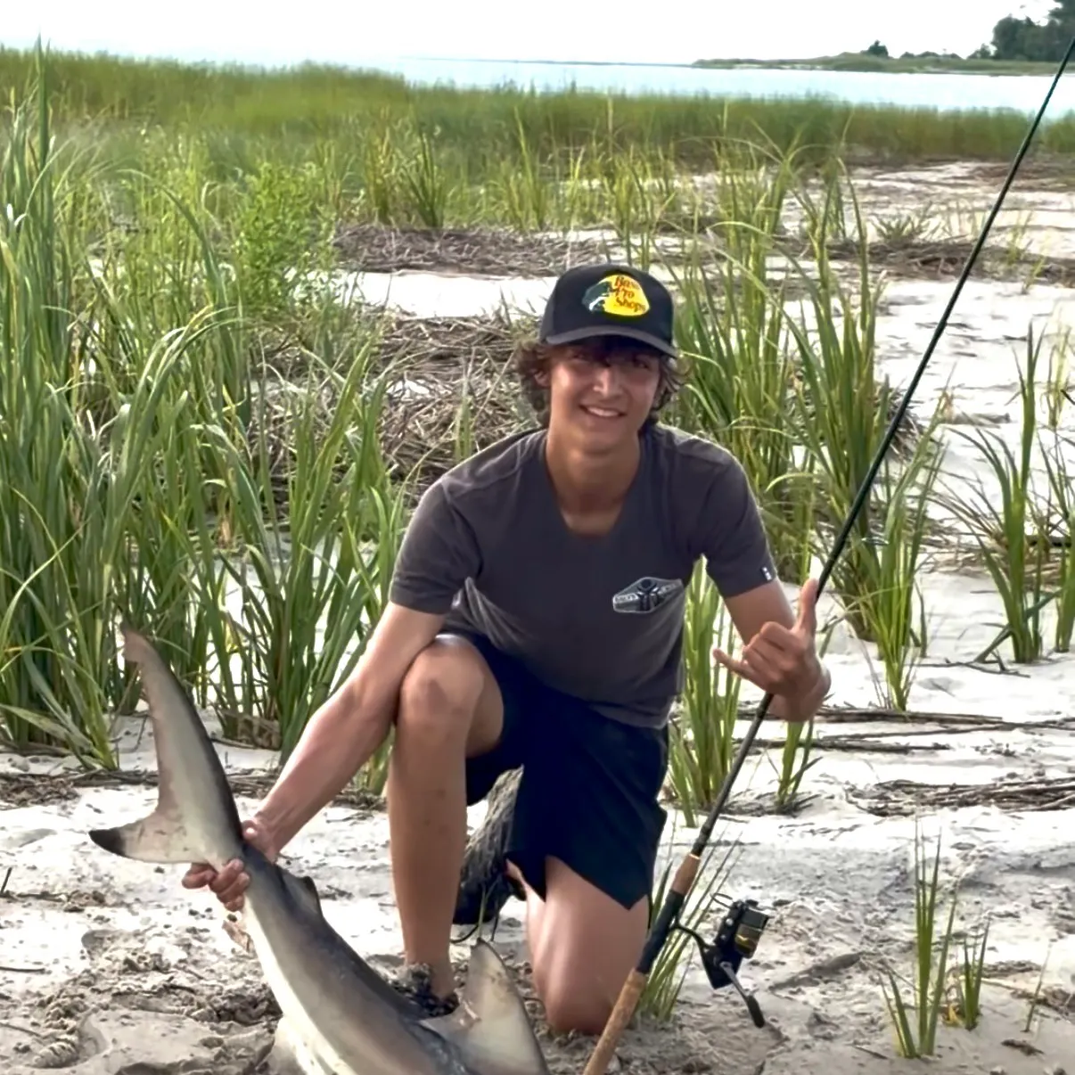 The most recent Spinner shark catches on Fishbrain