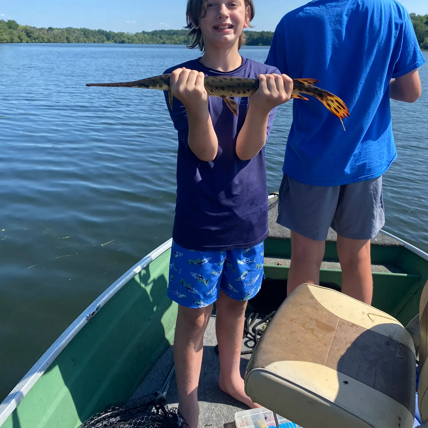 The most recent Longnose gar catches on Fishbrain