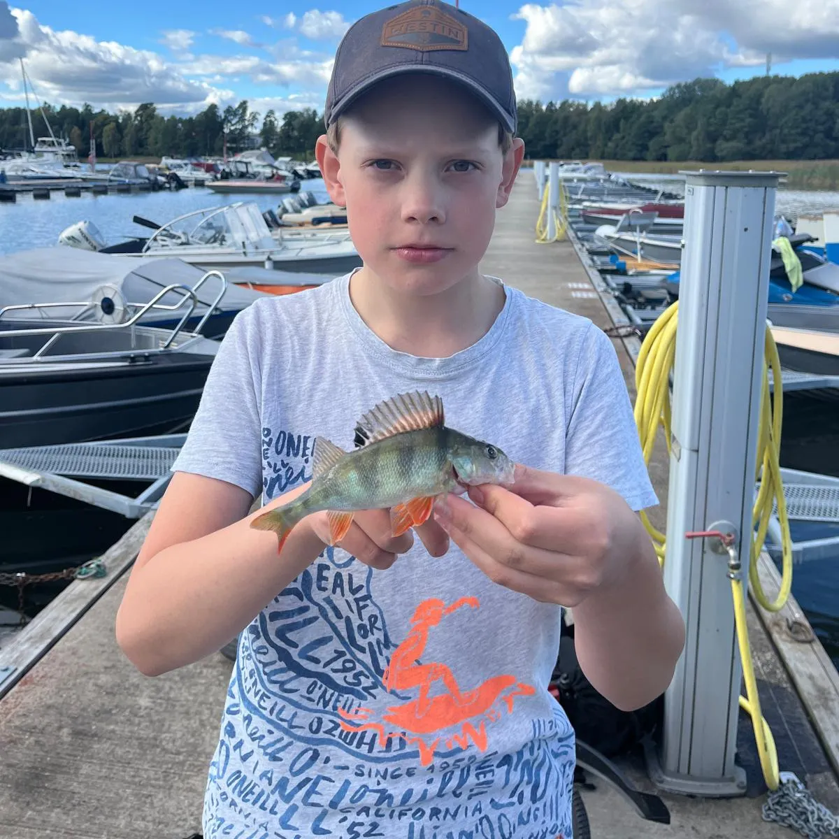 European perch caught on Fishbrain