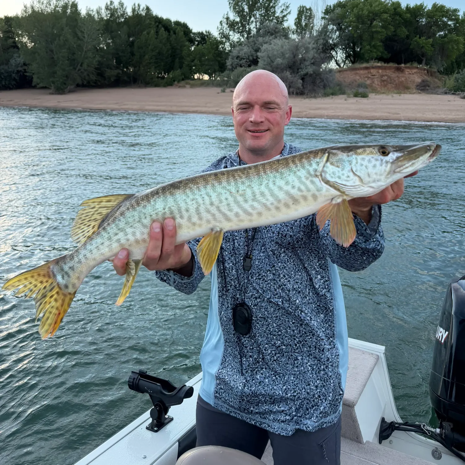 The most recent Tiger muskellunge catches on Fishbrain