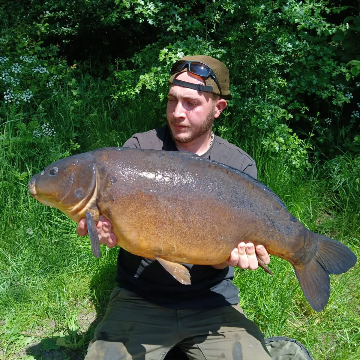 The most recent Leather carp catches on Fishbrain