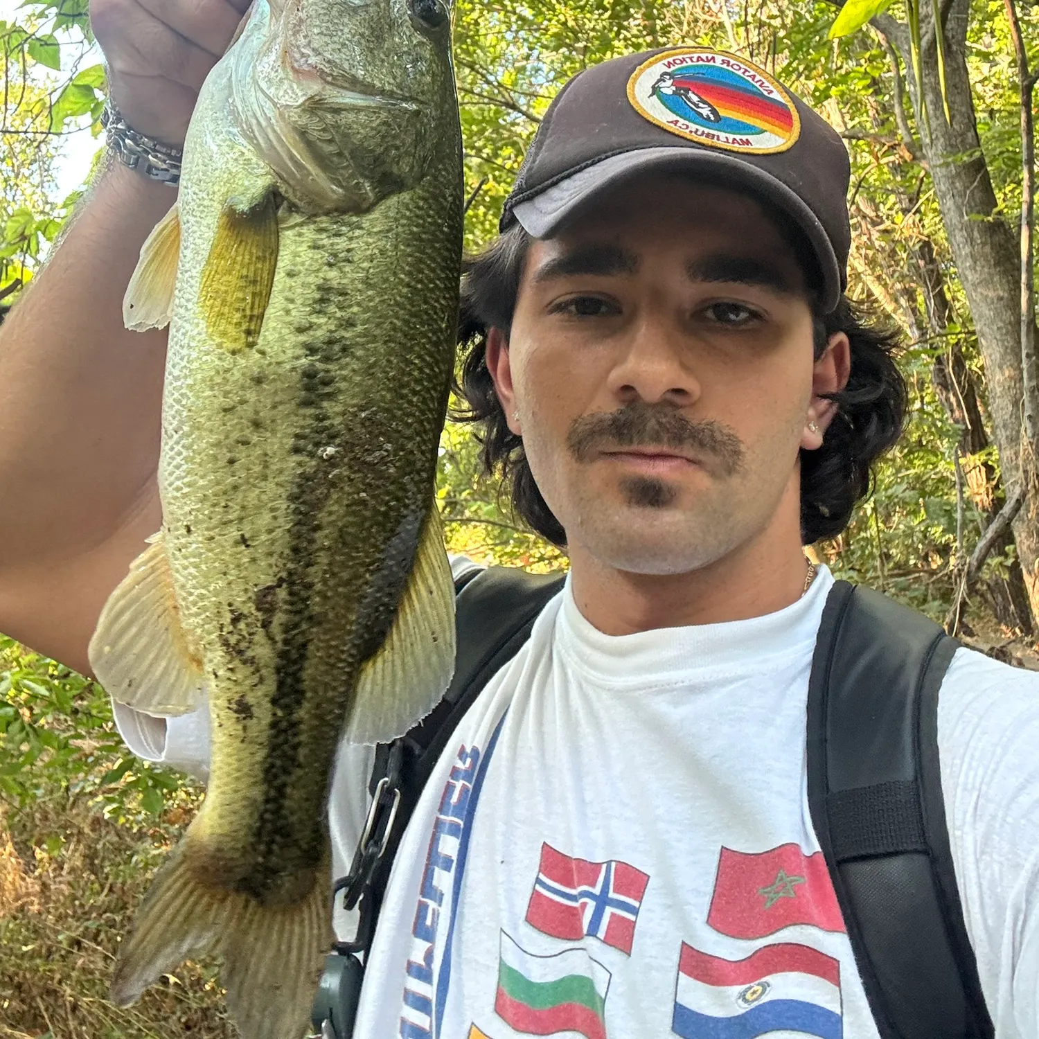 Largemouth bass caught on Fishbrain