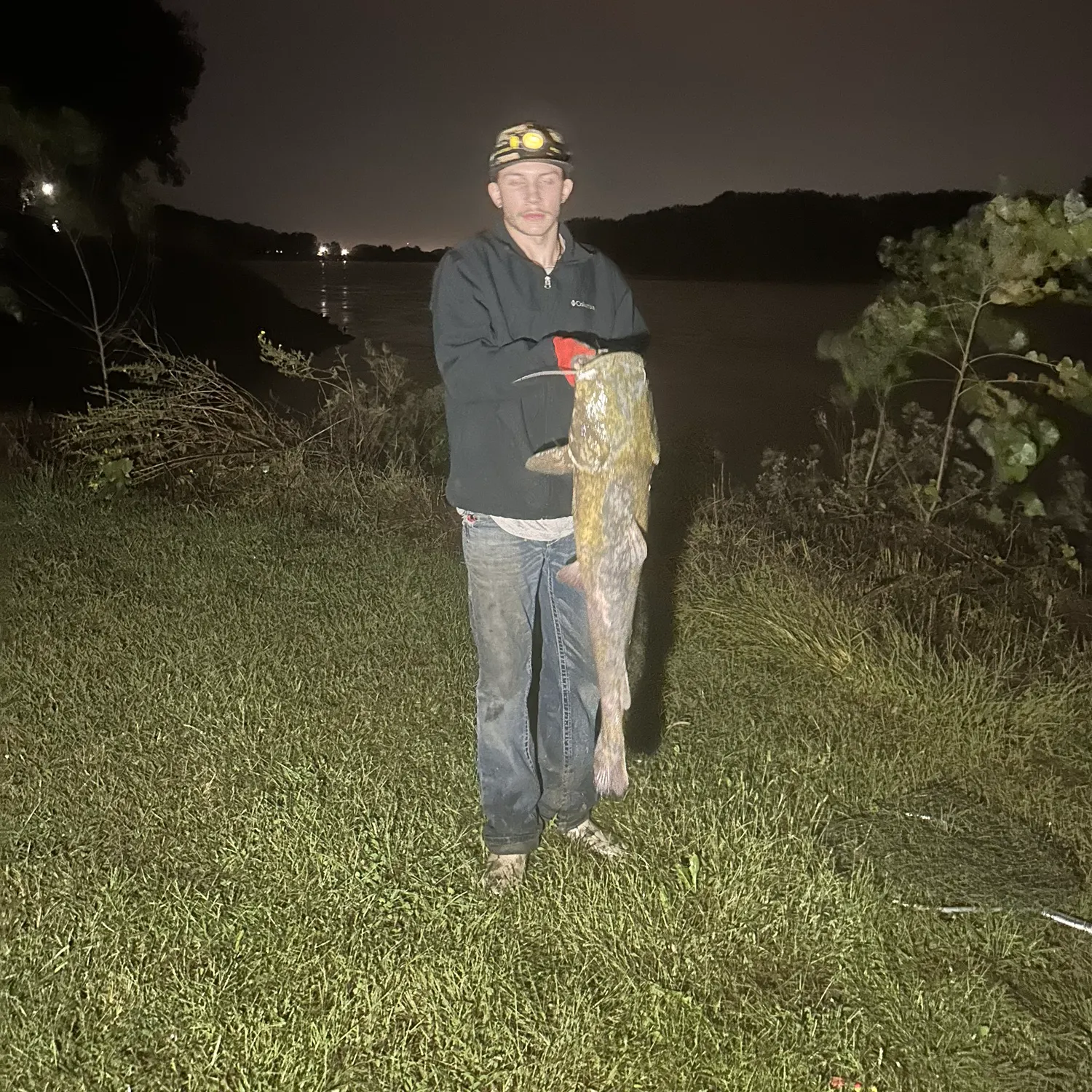 Flathead catfish caught on Fishbrain